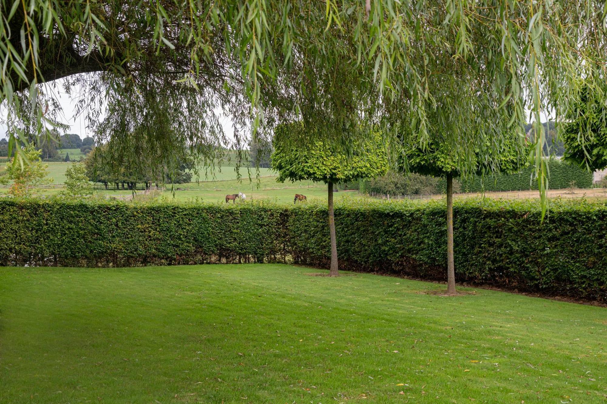 B&B Bertem Natuur Bagian luar foto